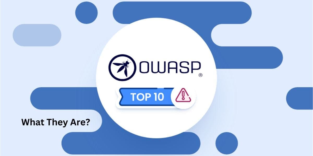 OWASP Top 10 Explained with Examples